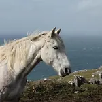 Ostello Sleepzone Clare - The Burren