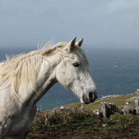 بيت شباب Sleepzone Clare - The Burren